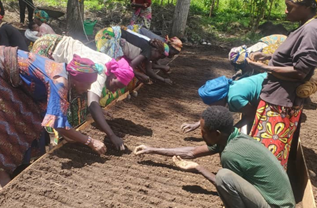 women coffee cultivation